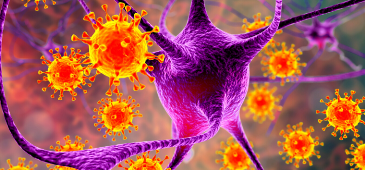 GeneProof Epstein-Barr Virus (EBV) PCR Kit CE IVD